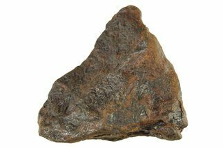 Canyon Diablo Iron Meteorite ( g) - Arizona #287645