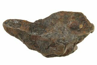 Canyon Diablo Iron Meteorite ( g) - Arizona #287680
