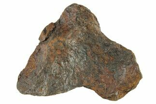 Canyon Diablo Iron Meteorite ( g) - Arizona #287684
