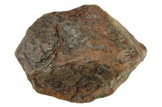 Canyon Diablo Iron Meteorite ( g) - Arizona #287688