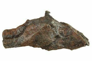 Canyon Diablo Iron Meteorite ( g) - Arizona #287694