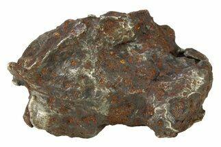 Sikhote-Alin Iron Meteorite Shrapnel ( g) - Russia #287726