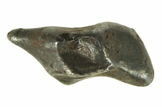 Fusion Crusted Sikhote-Alin Iron Meteorite ( g) - Russia #287869