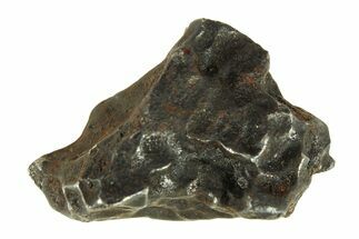 Fusion Crusted Sikhote-Alin Iron Meteorite ( g) - Russia #287872