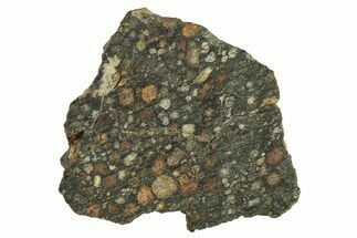 Chondrite Meteorite Section ( g) - NWA #287886
