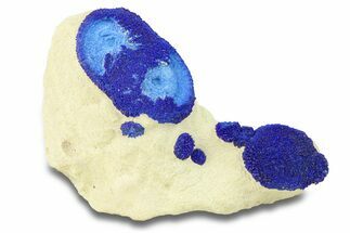 Vibrant Blue Azurite Suns on Siltstone - Australia #287974