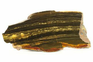 Polished Packsaddle Tiger Eye Slab - Western Australia #287947