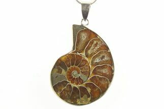 Fossil Ammonite Pendant - Million Years Old #288037