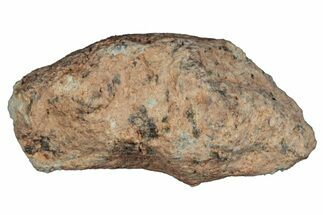 Lunar Meteorite ( g) - Bechar #288493