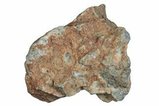 Lunar Meteorite ( g) - Bechar #288494