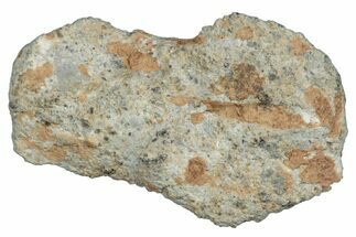 Lunar Meteorite ( g) - Bechar #288497