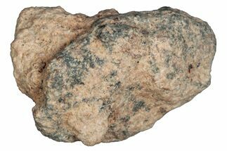 Lunar Meteorite ( g) - Bechar #288520