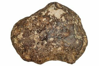 Agoudal Iron Meteorite ( g) - Morocco #288897