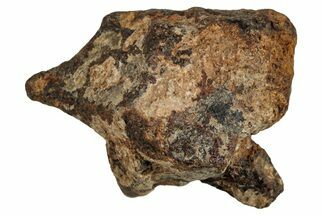 Agoudal Iron Meteorite ( g) - Morocco #288902