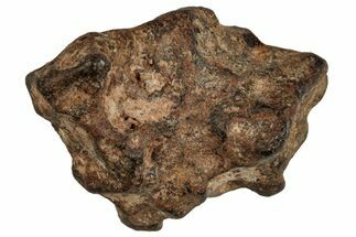 Agoudal Iron Meteorite ( g) - Morocco #288916