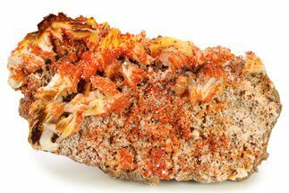 Vanadinite Crystals on Barite - Unique Bright Orange Color #289074