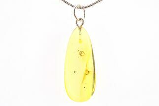 Polished Baltic Amber Pendant (Necklace) - Contains Two Flies! #288777