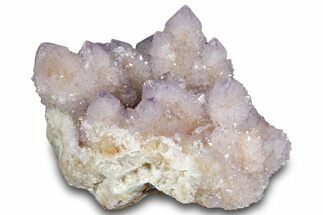 Sparkling Cactus Amethyst Crystal Cluster - South Africa #289802
