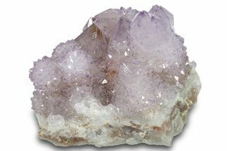 Sparkling Cactus Amethyst Crystal Cluster - South Africa #289809