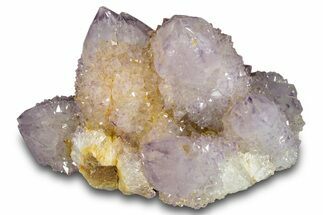 Spectacular Cactus Amethyst Crystal Cluster - South Africa #289812