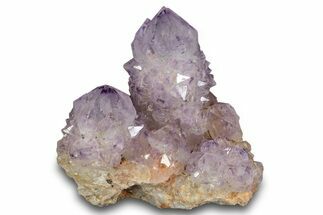 Sparkling Cactus Amethyst Crystal Cluster - South Africa #289817