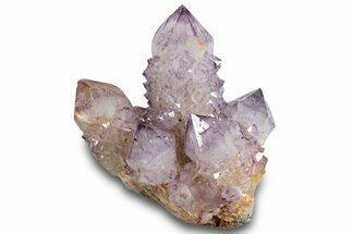 Spectacular Cactus Amethyst Crystal Cluster - South Africa #289835