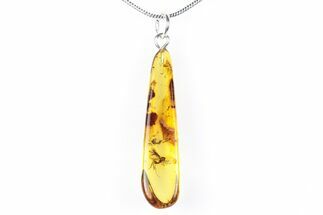 Polished Baltic Amber Pendant (Necklace) - Contains Fly & Ant! #288817