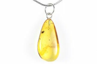 Polished Baltic Amber Pendant (Necklace) - Cockroach Nymph! #288834