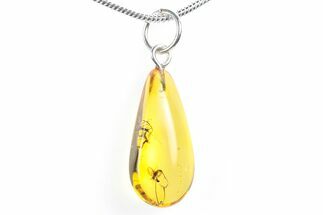 Polished Baltic Amber Pendant (Necklace) - Contains Three Flies! #288844