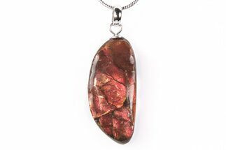 Brilliant Ammolite Pendant (Necklace) - Alberta, Canada #290108