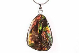 Brilliant Ammolite Pendant (Necklace) - Alberta, Canada #290111