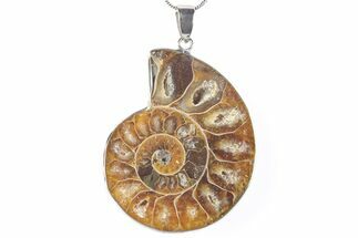 Fossil Ammonite Pendant - Million Years Old #290152