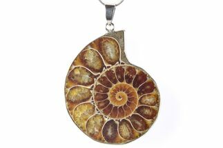 Fossil Ammonite Pendant - Million Years Old #290161