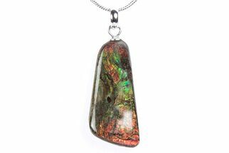 Brilliant Ammolite Pendant (Necklace) - Alberta, Canada #290136