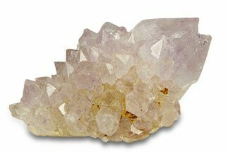 Sparkling Cactus Amethyst Crystal Cluster - South Africa #290237