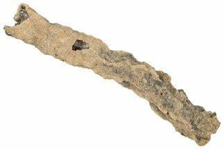 Fulgurite - Petrified Lightning #290511