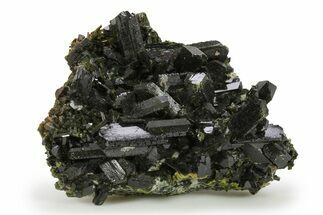 Lustrous Epidote Crystals on Actinolite - Pakistan #290476