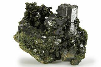 Lustrous Epidote Crystals with Actinolite - Pakistan #290477
