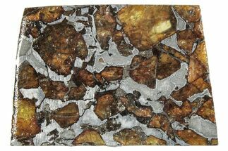 Brahin Pallasite Meteorite ( g) Slice - Belarus #291297