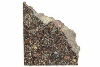 LL Chondrite Meteorite ( g) Slice - NWA #291392