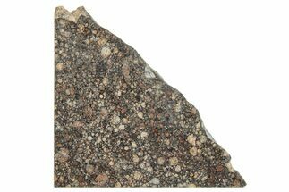 LL Chondrite Meteorite ( g) Slice - NWA #291402