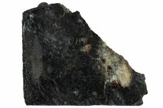 Polished Lunar Meteorite Slice ( g) - NWA #291421