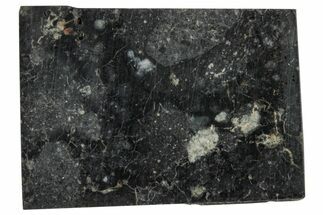 Polished Lunar Meteorite Slice ( g) - NWA #291435
