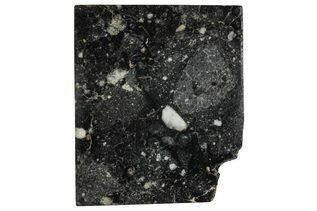 Starry Night Meteorites For Sale