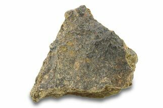Abadla CM Chondrite Meteorite ( g) - Algeria #291506