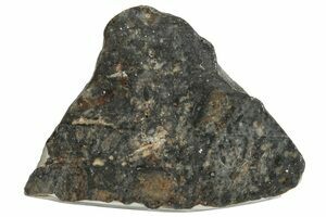 Lunar Meteorite - Laayoune 002 For Sale - FossilEra.com