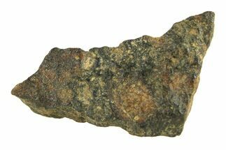 Chondrite Meteorite ( g) Fragment - Unclassified #291612