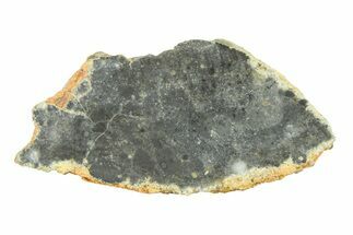 Lunar Meteorite ( g) Slice - Bechar #291691