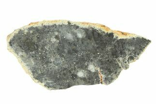 Lunar Meteorite ( g) Slice - Bechar #291693