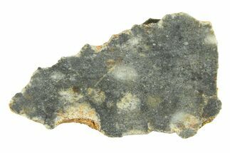 Lunar Meteorite ( g) Slice - Bechar #291695